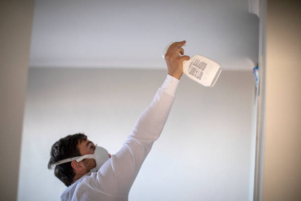Best Local Mold Removal Service  in Atmore, AL